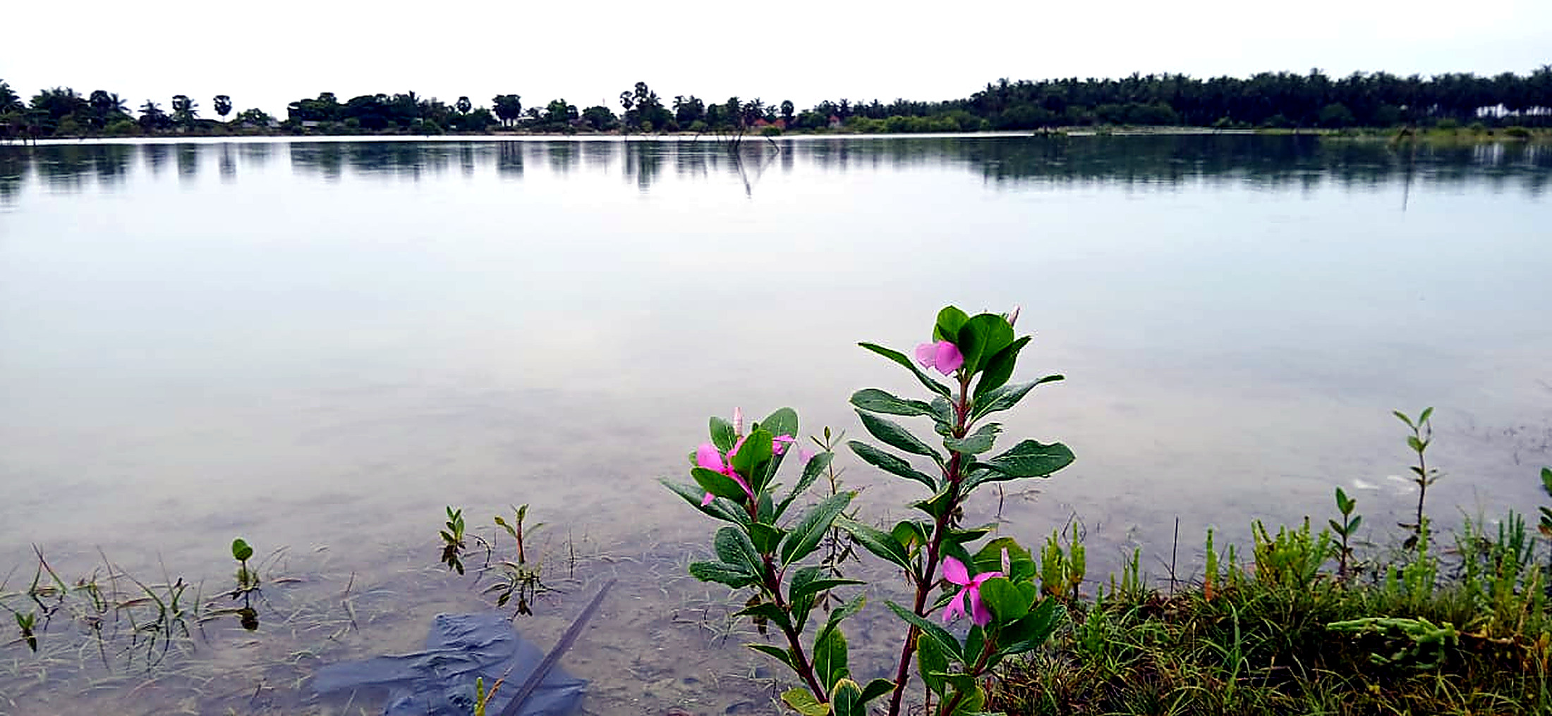 Bungalow at Kite Wing Brothers, Kalpitiya