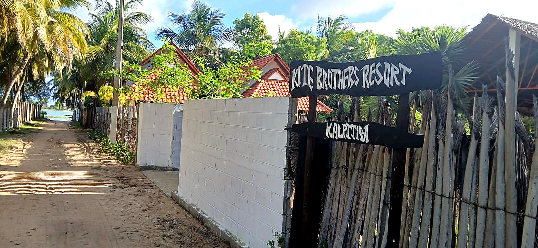 Tropical bungalow at Kite Wing Brothers, coconut trees